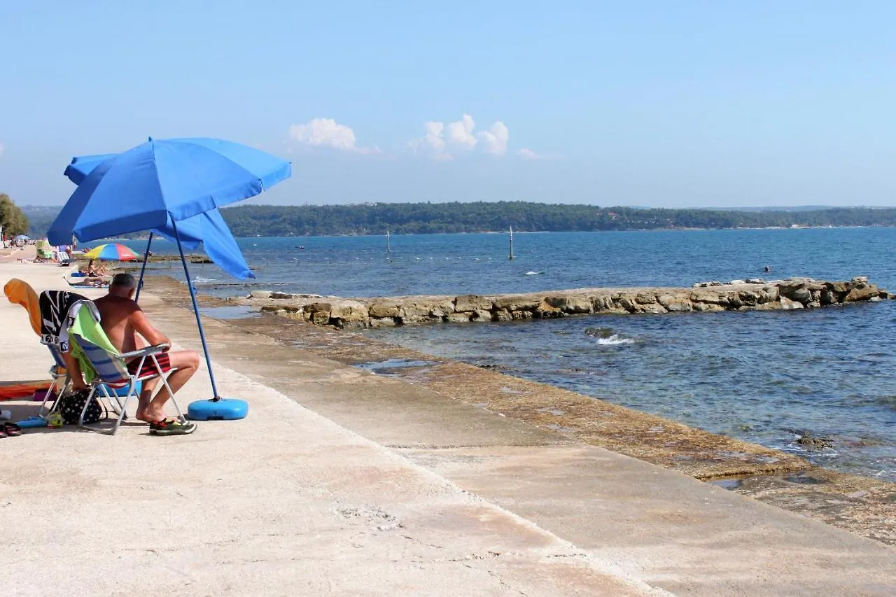 Apartments With Wifi Novigrad - 7053